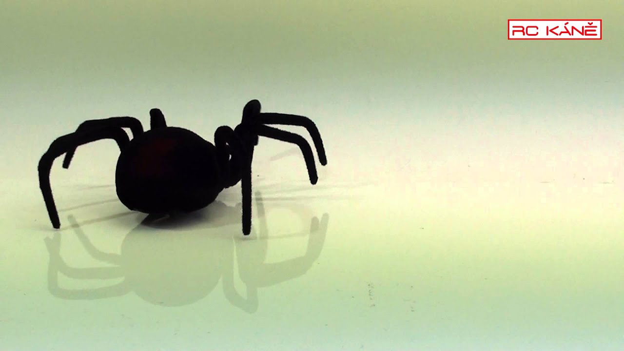 RC pavouk tarantule a čern&aacute; vdova