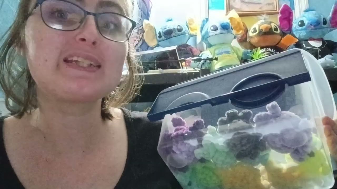 How many minis can I make in three days? 
