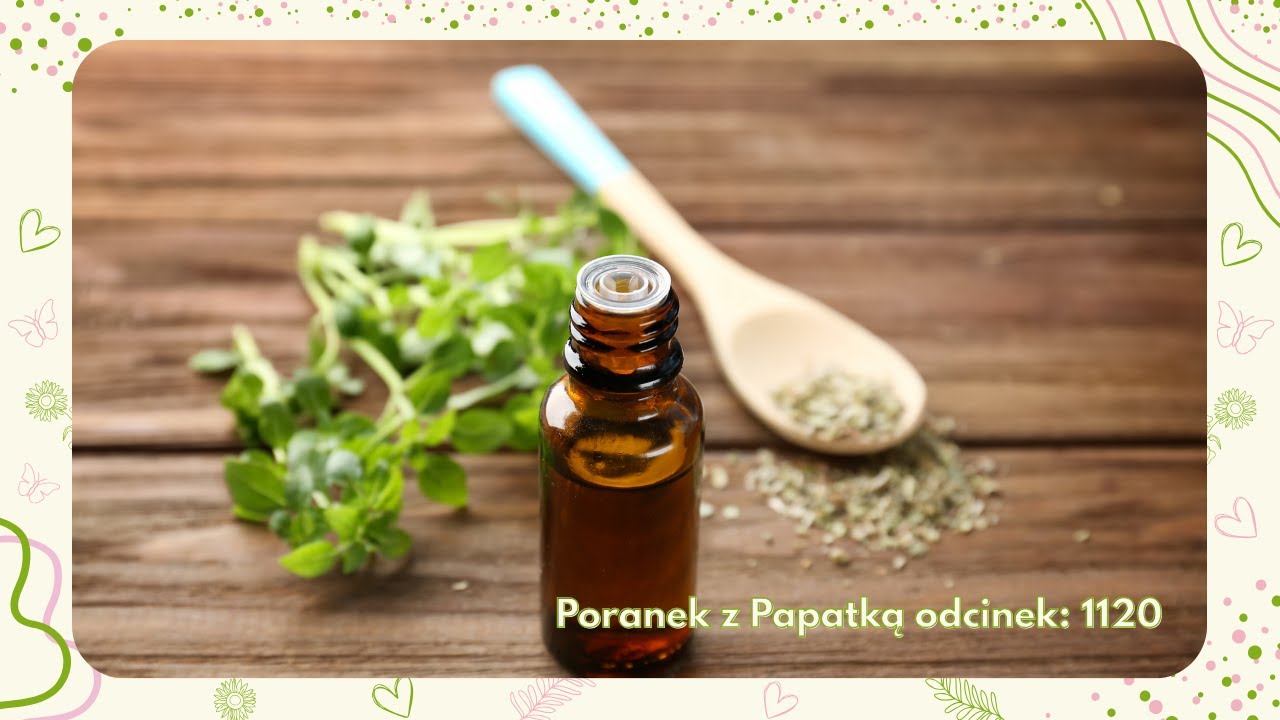 Olejek z oregano – potężne roślinne panaceum [Poranek z Papatką #1120