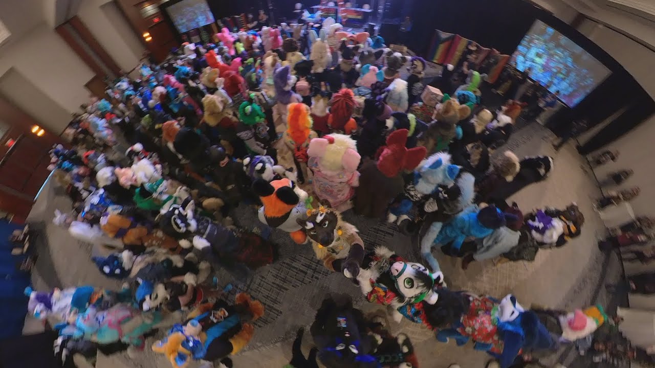 [4k 360 VR] Fursuit Parade | PDFC