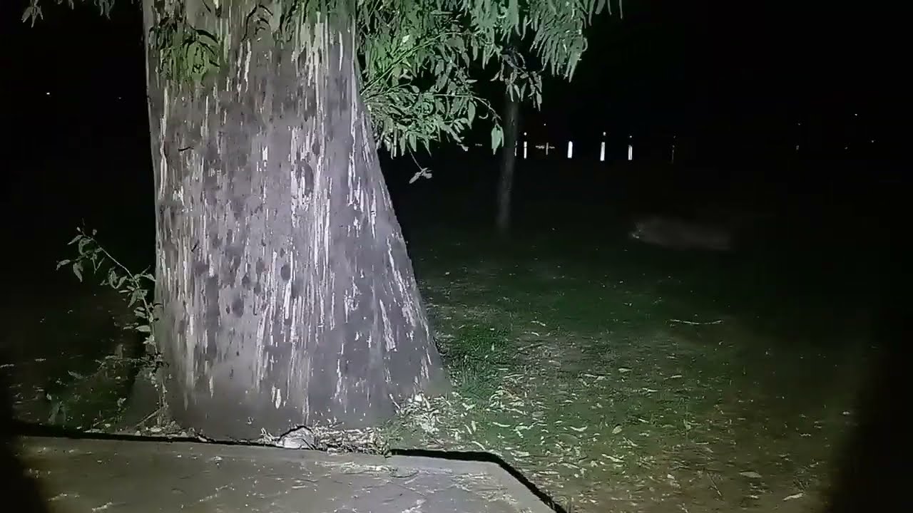 se aparece en este lugar el macho cabrío y me persigue exploración en la madrugada