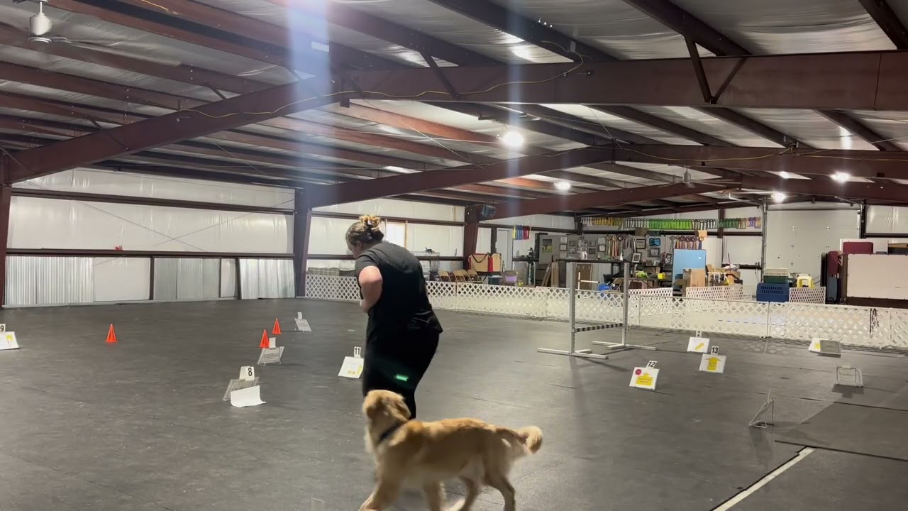 Ginny’s Advanced Rally Run #1