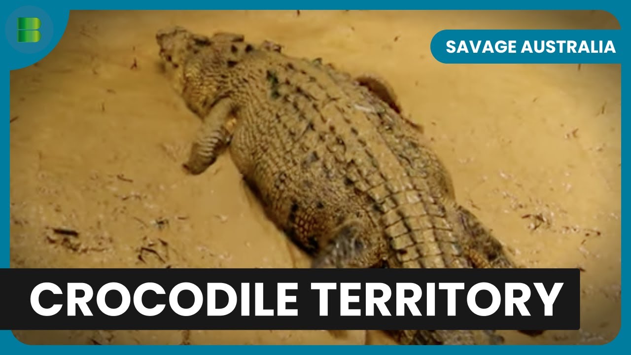 Croc Attacks & Conservation - Savage Australia - S01 EP02 - Nature Documentary