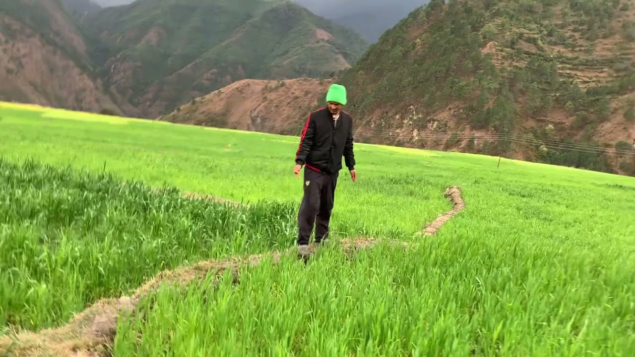 Khet maa jadai