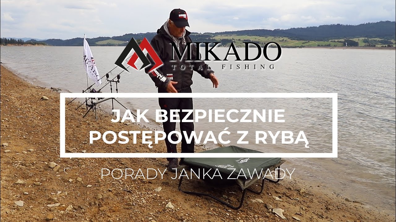 Jak bezpiecznie postępować z rybą