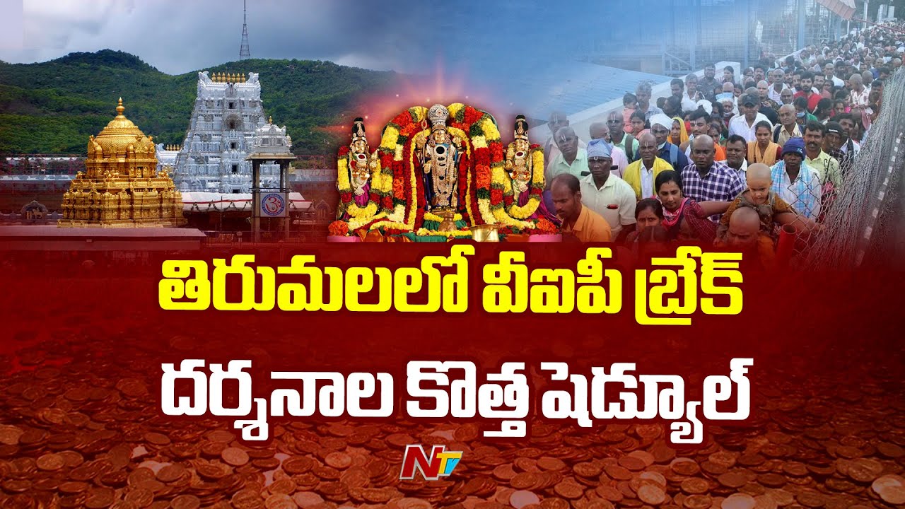 Tirumala: VIP break darshan schedule implemented in TTD | Ntv