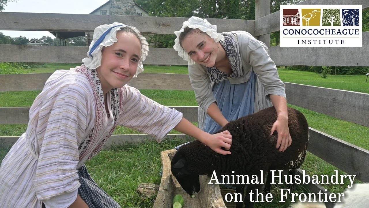 Animal Husbandry on the Frontier - The Conococheague Institute