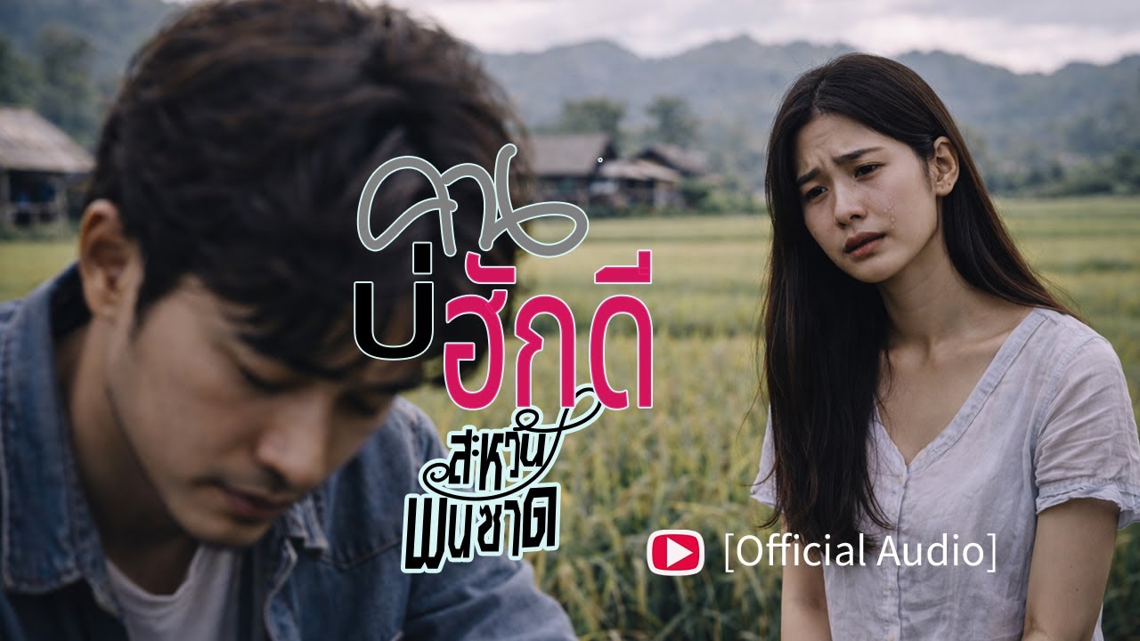 คนบ่ฮักดี : สะหวัน พันซาด [OFFICIAL AUDIO]
