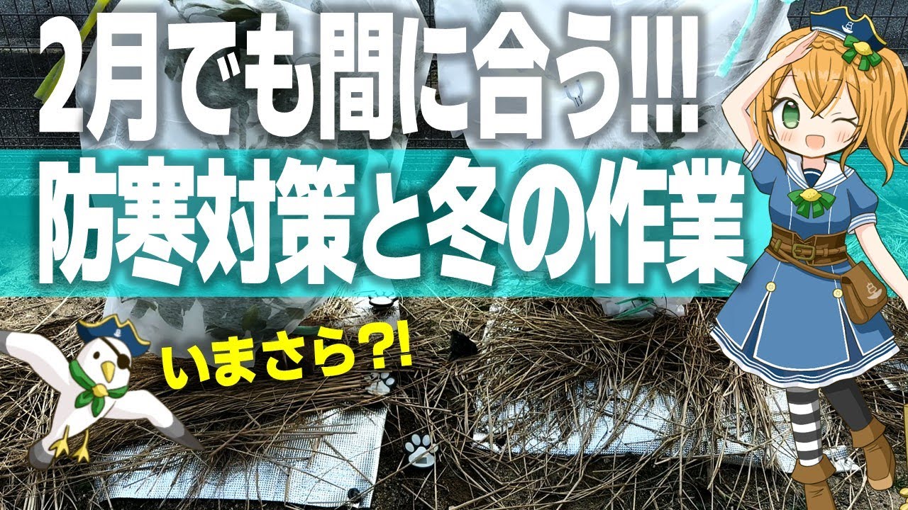 【防寒対策と冬の作業】最高の春を迎えるために🌸 #テゾロ農園団 #果樹副業チャレンジ #防寒対策 #剪定