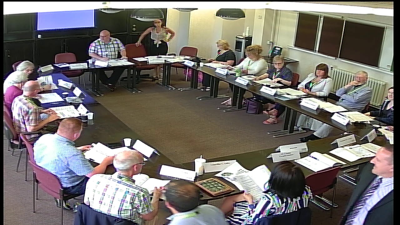 External Overview & Scrutiny Panel - 4 July 2019