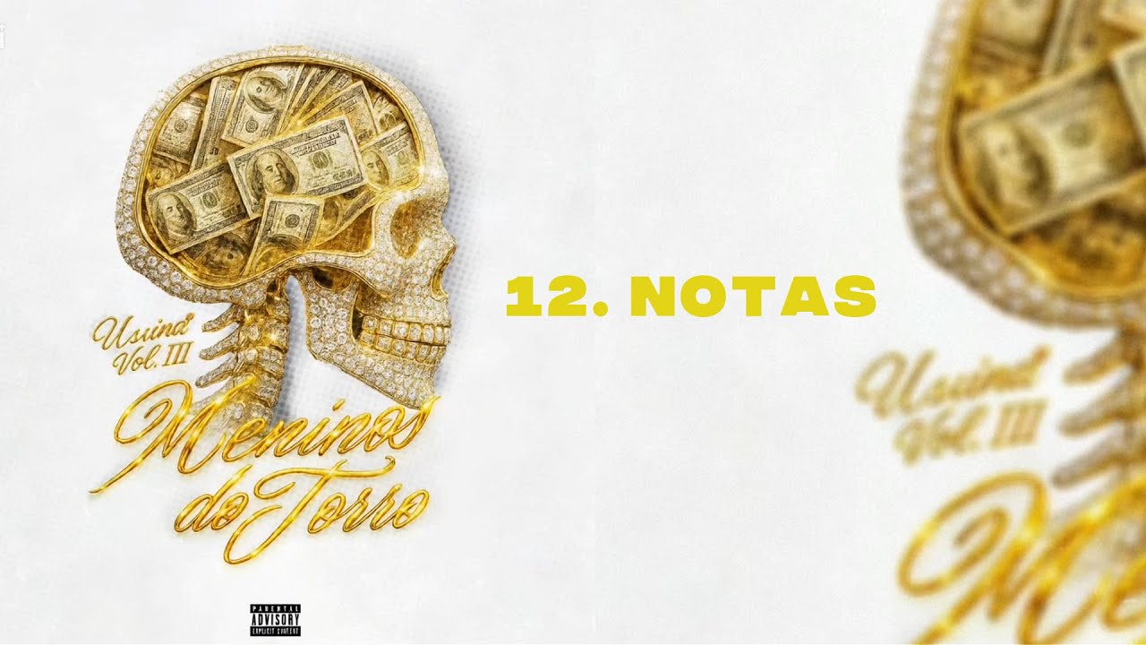 12. 'NOTAS' 💸 [MENINOS DO TORRO] (OFICIAL VISUALIZER)