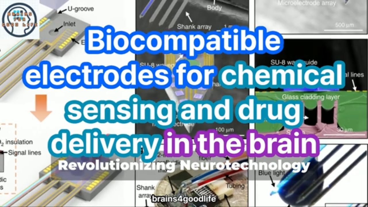 Biocompatible electrodes for chemical sensing and drug delivery in the brain