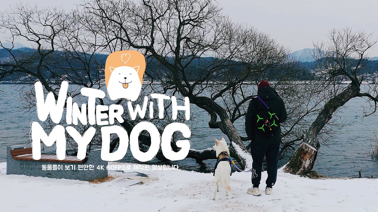 댕무비 | winterwithmydog | 강아지 힐링 |
