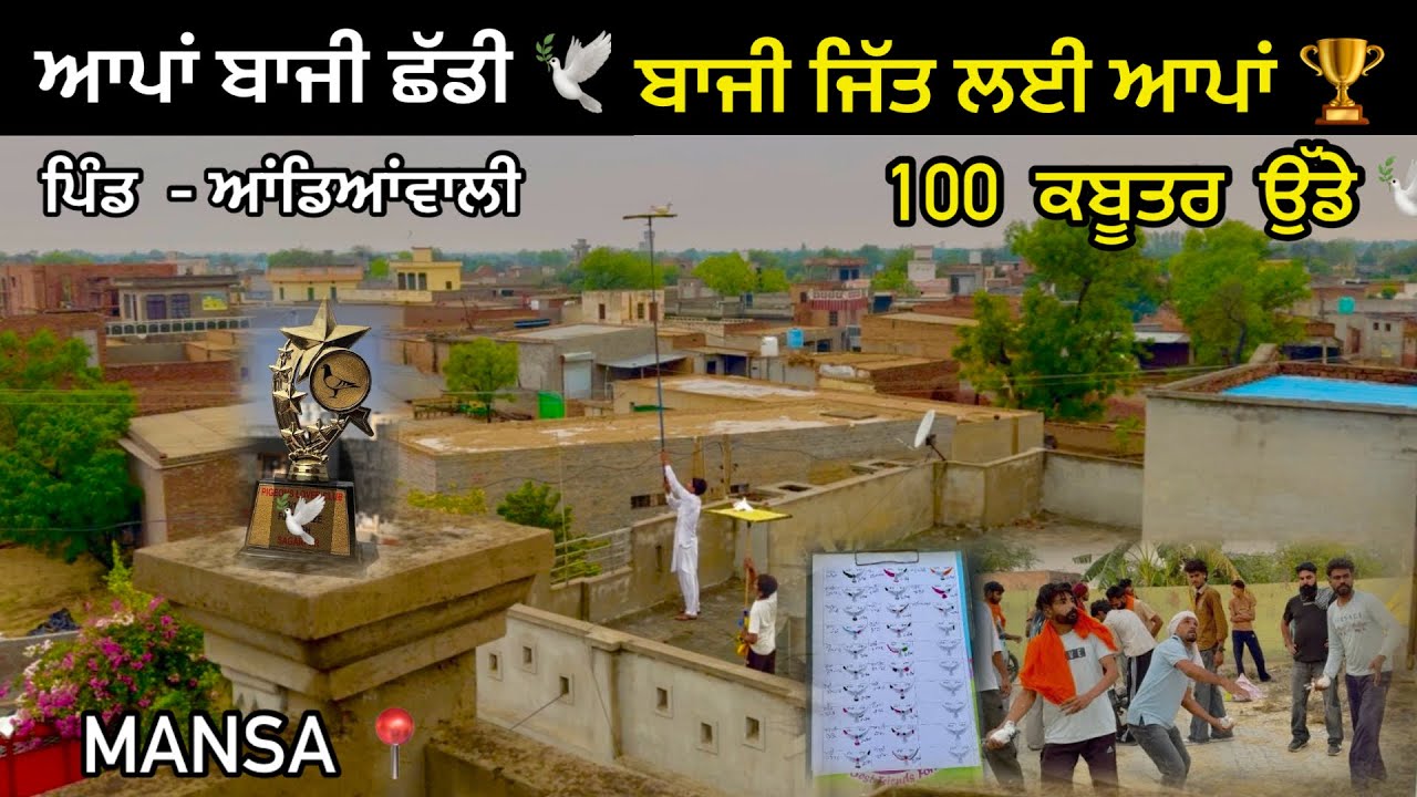 ਆਪਾਂ ਬਾਜੀ ਛੱਡੀ 🕊️|| ਬਾਜੀ ਜਿੱਤ ਗਏ ਕਬੂਤਰ ਆਪਣੇ 🏆|| Bazi Jitt Gye🔥|| ਮੀਂਹ ਆਗਿਆ ਬਾਜੀ ਤੇ ⛈️|| #kabootar