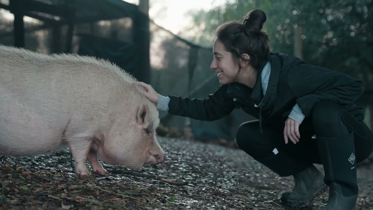This is Why Animal Sanctuaries Matter