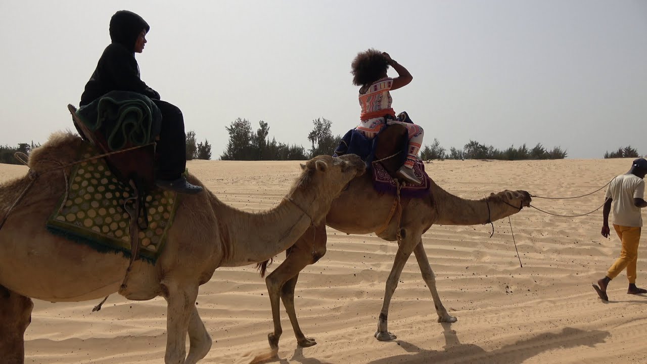 Camel Ride Adventure in the Desert in Lac Rose - Senegal April 2023 Roots & Culture Africa Journey