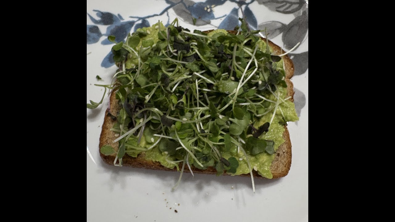 Snow White Forest Toast