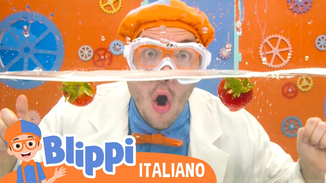 Blippi visita un arancia. La frutta affonda o galleggia? | Blippi | Video educativi per bambini
