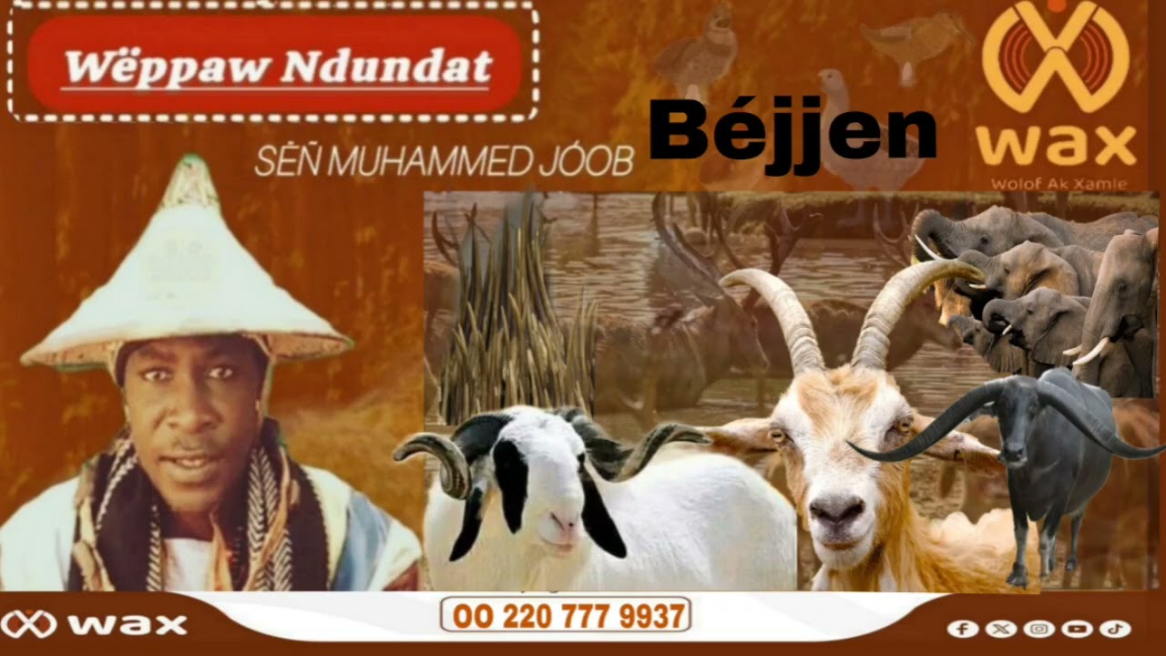Béjjen ak li ci aju