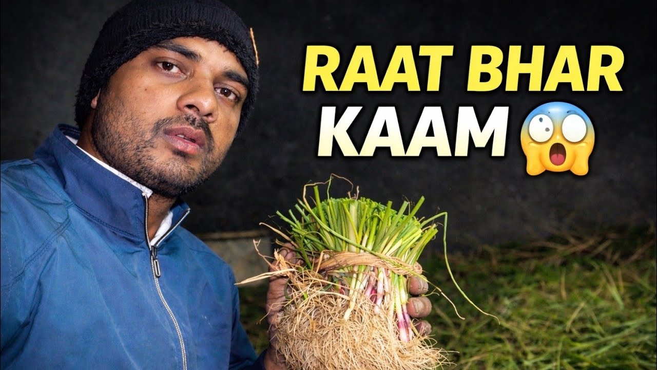 Raat Bhar Pyaj Ki Nursery Me Kaam 😱 | Onion Nursery Chhatay |