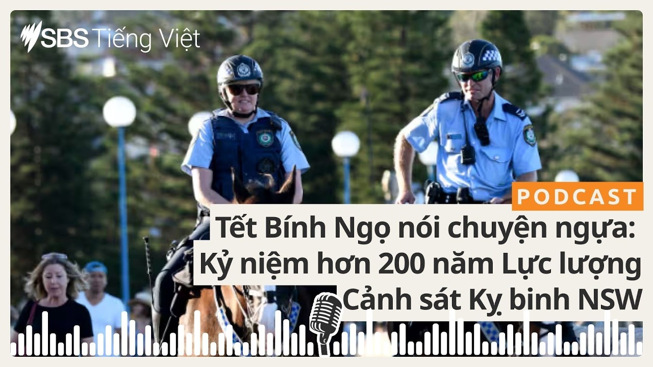 Tết Bính Ngọ nói chuyện ngựa: Lịch sử hơn 200 năm của Đội Cảnh sát Kỵ binh NSW | SBS Vietnamese...