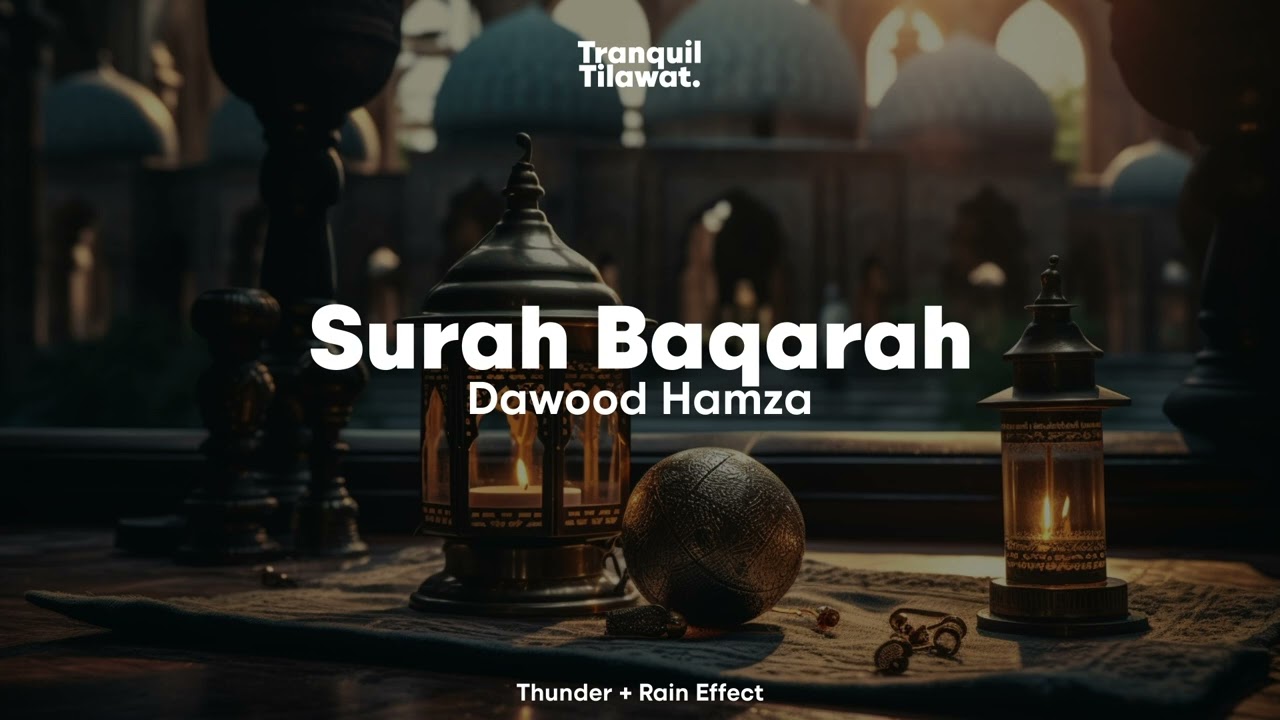 Tranquil Tilawat of Surah Baraqah | Dawood Hamza | Rain + Thunder | Quran for Sleep 😴