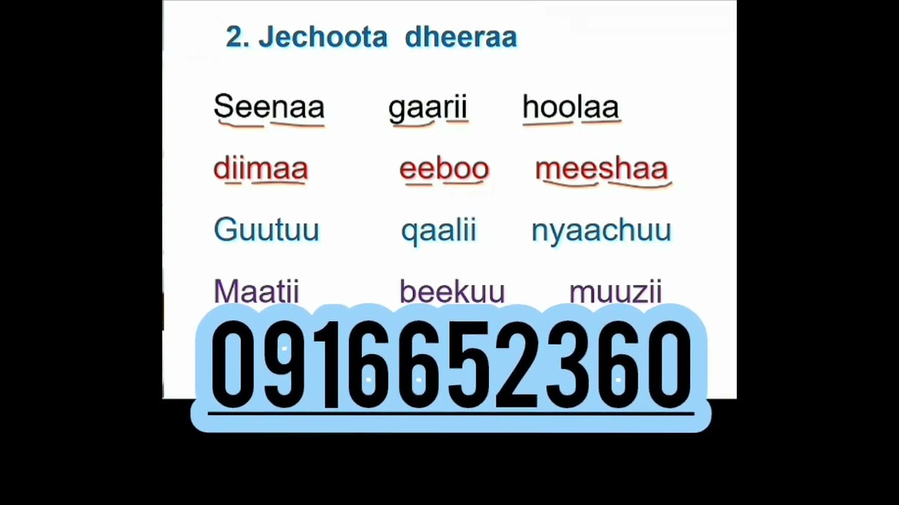 Jechoota dheeraa#ethiopianmovie #eritreanmoviie #ethiopiancomedy #duet #habesha #eritrian #motivatio