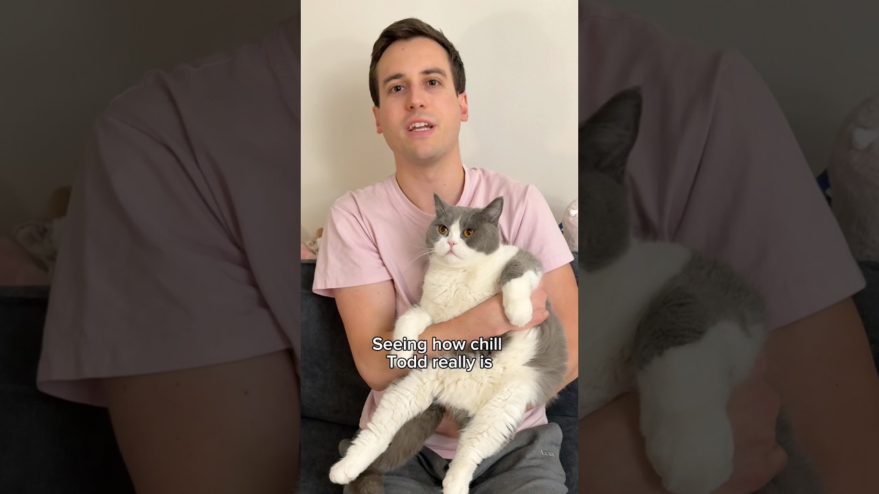 Seeing how chill Todd really is