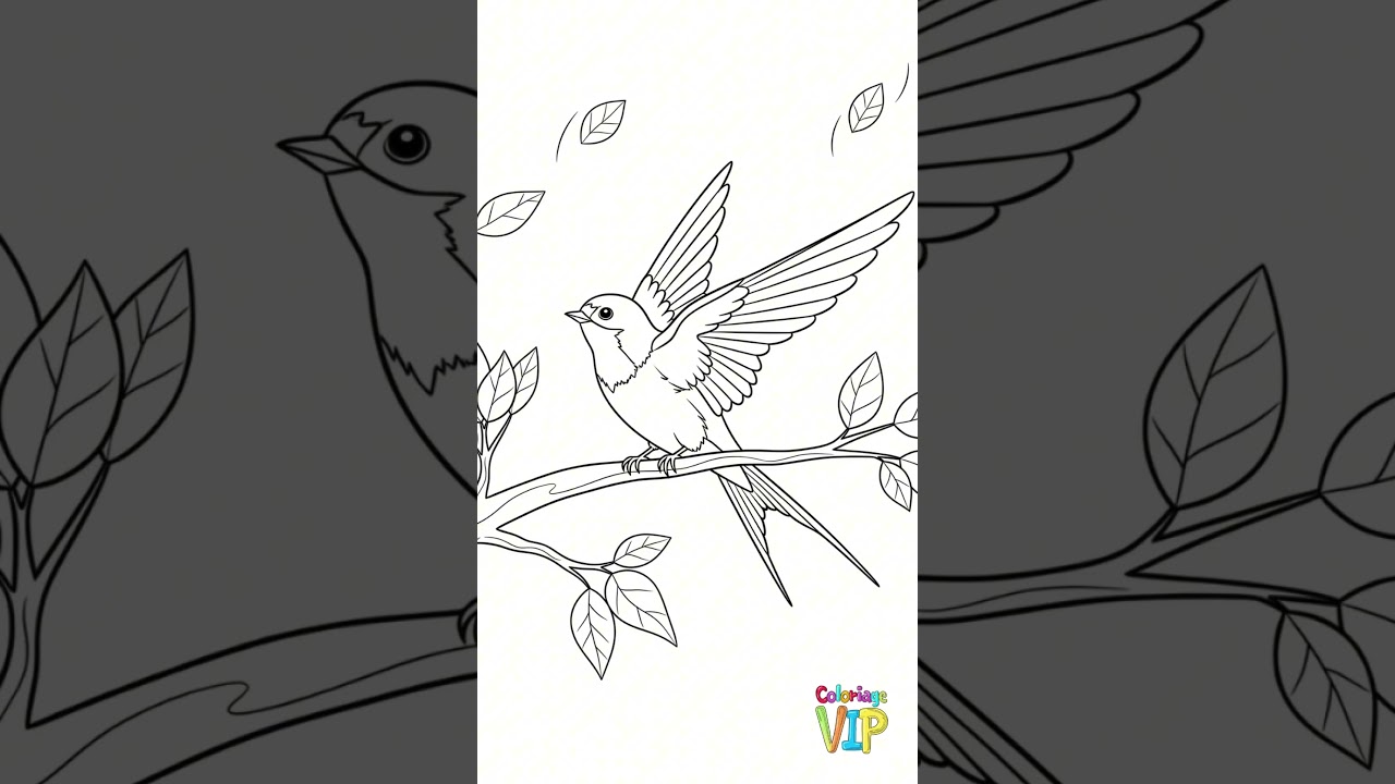 Top 5 Coloriage Hirondelle &agrave; Imprimer - Douceur, Printemps et Cr&eacute;ativit&eacute; #coloriagevip #dessin #art