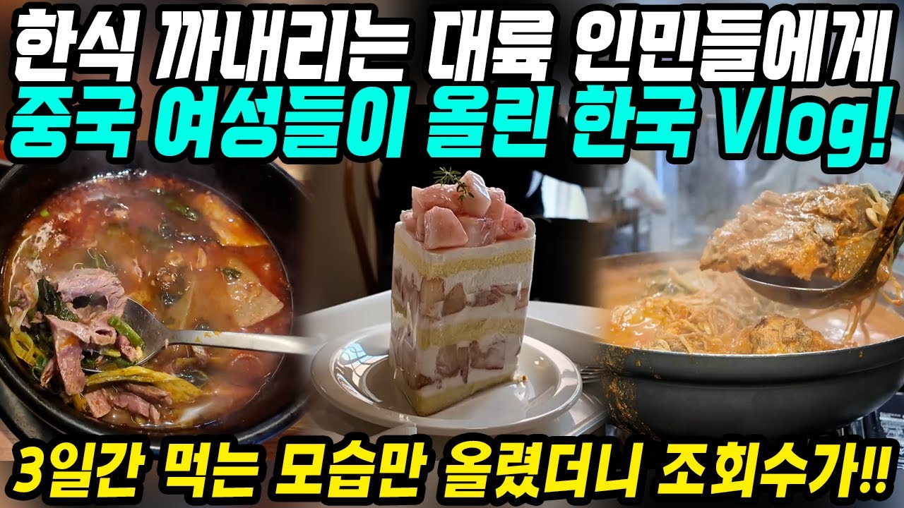 중국반응│한국음식 먹을 게 없다고? 한식해외인기를 모르나?│맛집투어 한국여행 브이로그 영상으로 반박한 그녀들│쇼핑없이 3일동안 먹는 모습만 나와! 조회수 대박난 영상│중국어로[路]