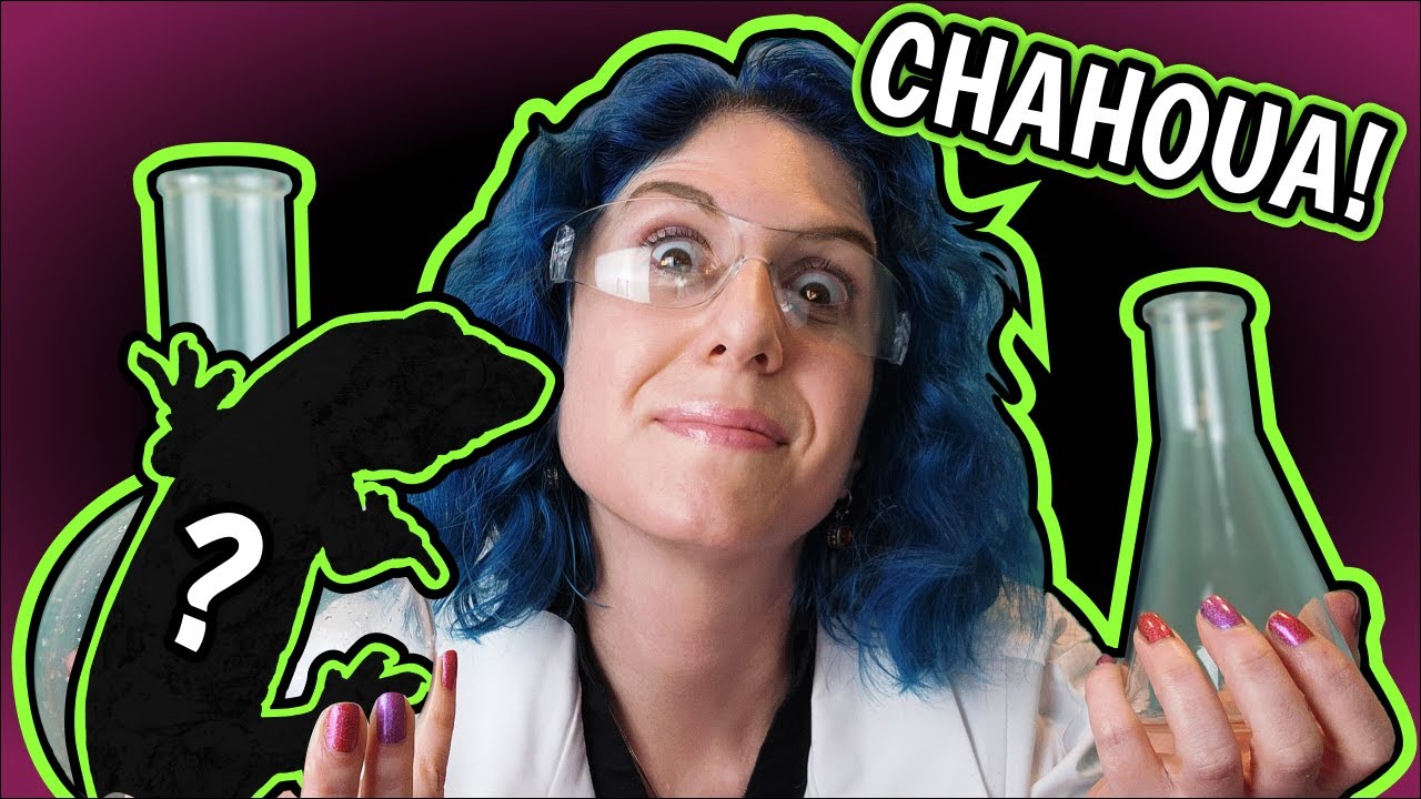 Chahoua Gecko Selective Breeding: Traits, Tips & Strategies