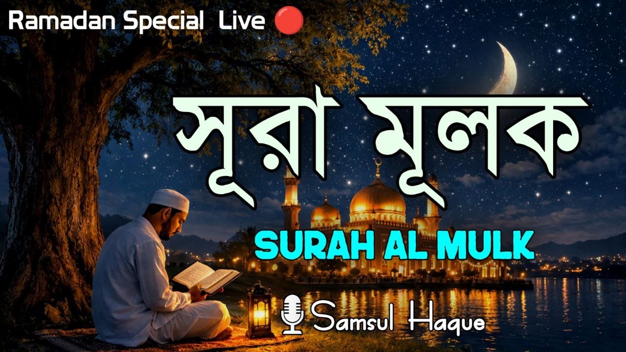 ঘুমানোর আগে শুনুন সূরা আল মুলক | কবরের আজাব থেকে রক্ষাকারী সূরা | Surah  Mulk by shamsul Haque