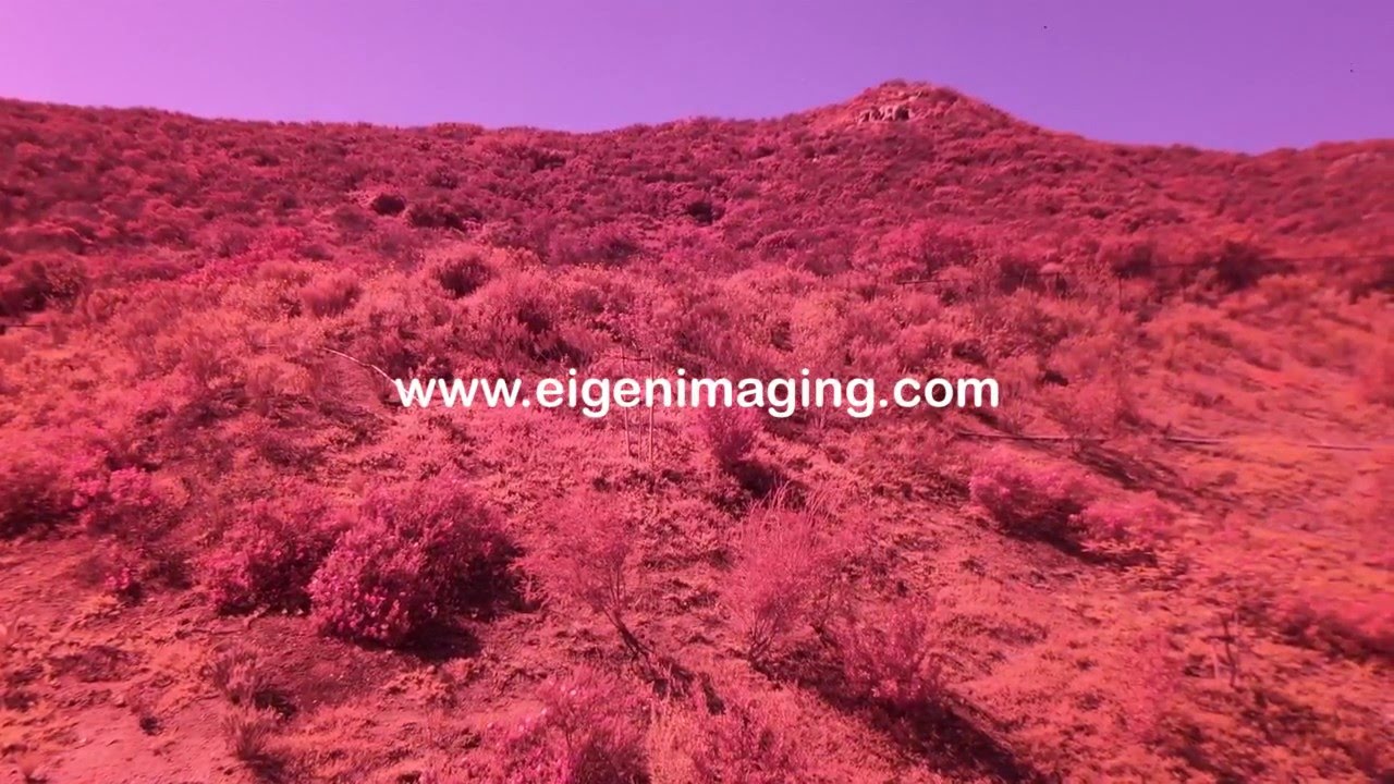 Apple iPhone 6 Camera Modified for visible-to-near infrared (VIS-NIR) Imaging