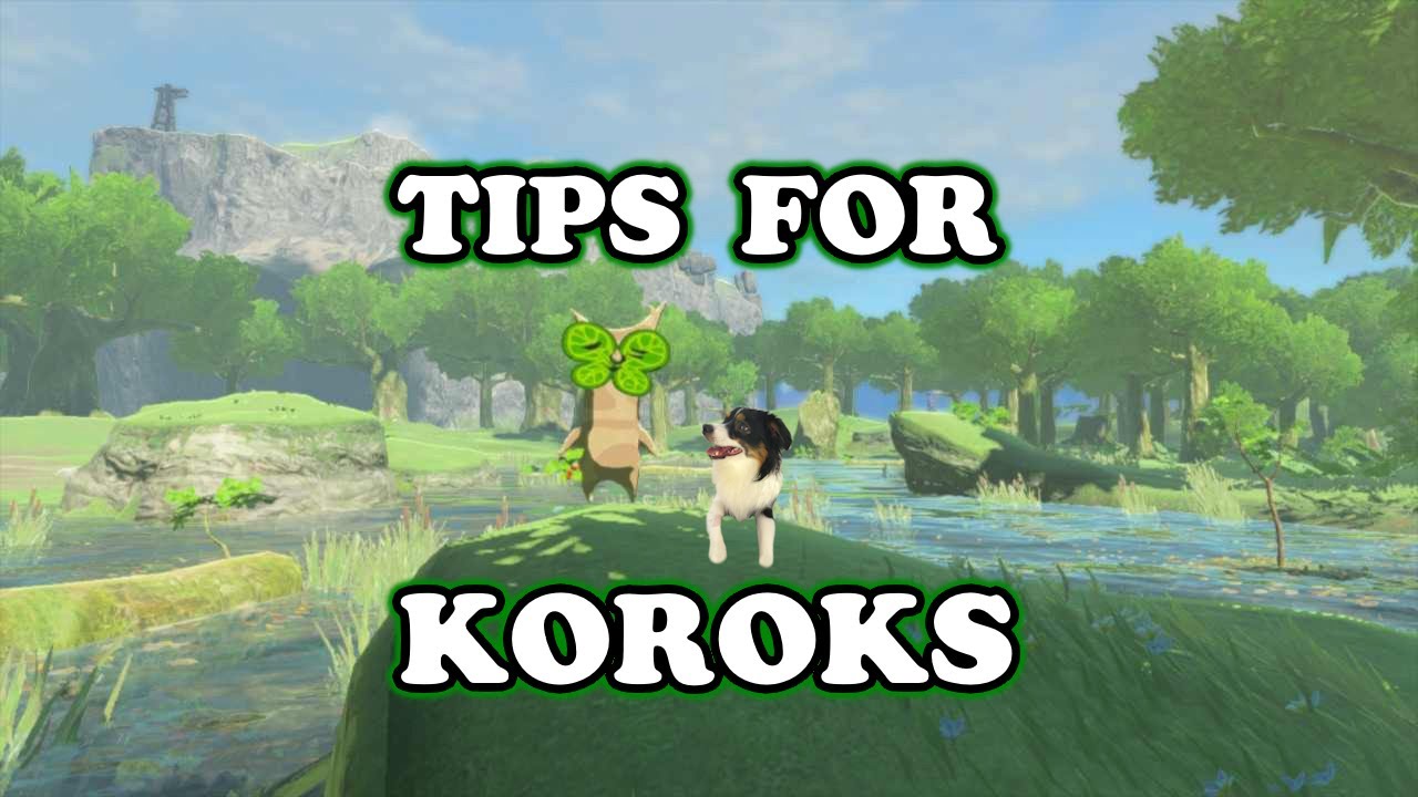 Советы по игре Koroks - Tears of the Kingdom