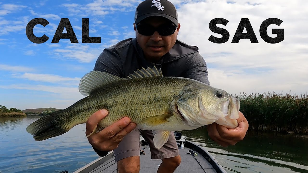 Dirty Bassin 17 - Cal Sag Fall Feed