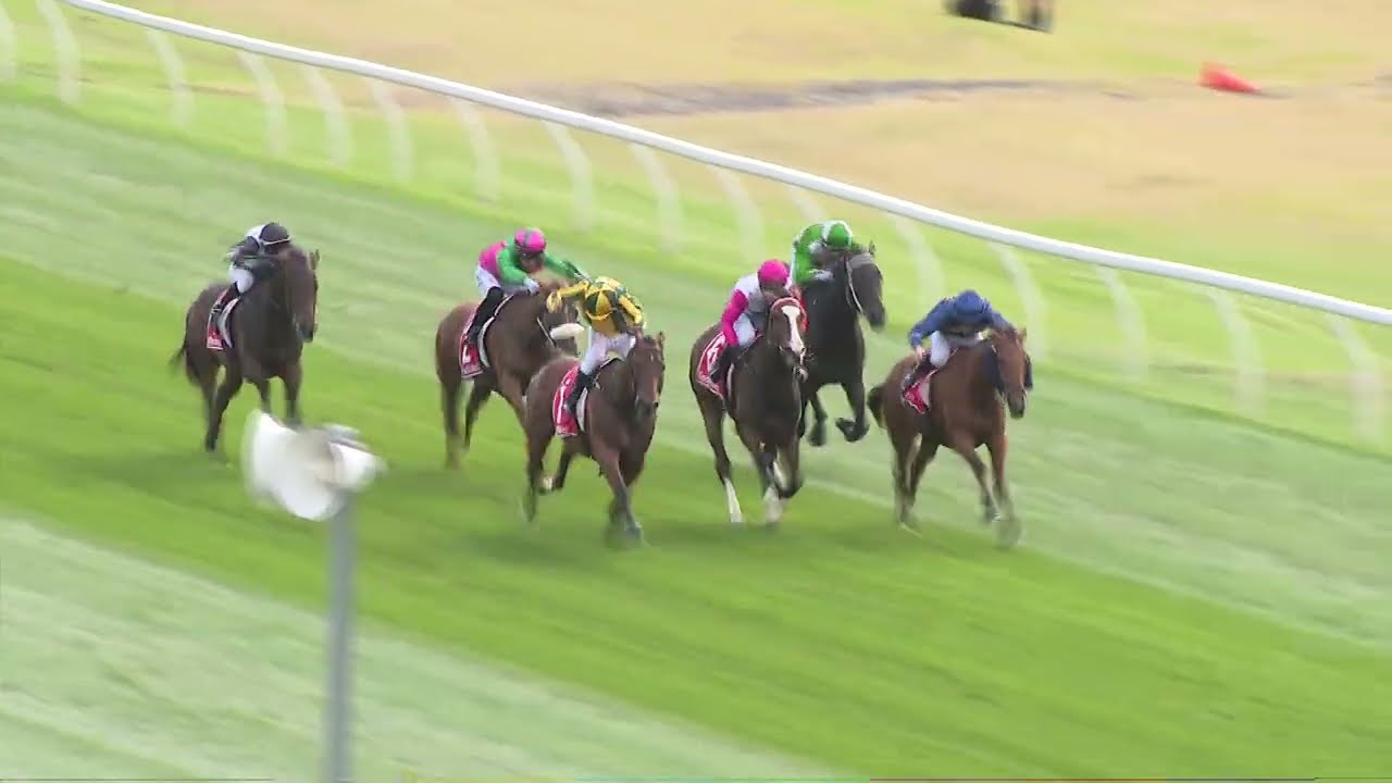 Tasmanian Derby 2025 - LIKEAKALIX (3YO SW LR) Listed Hobart 7 February