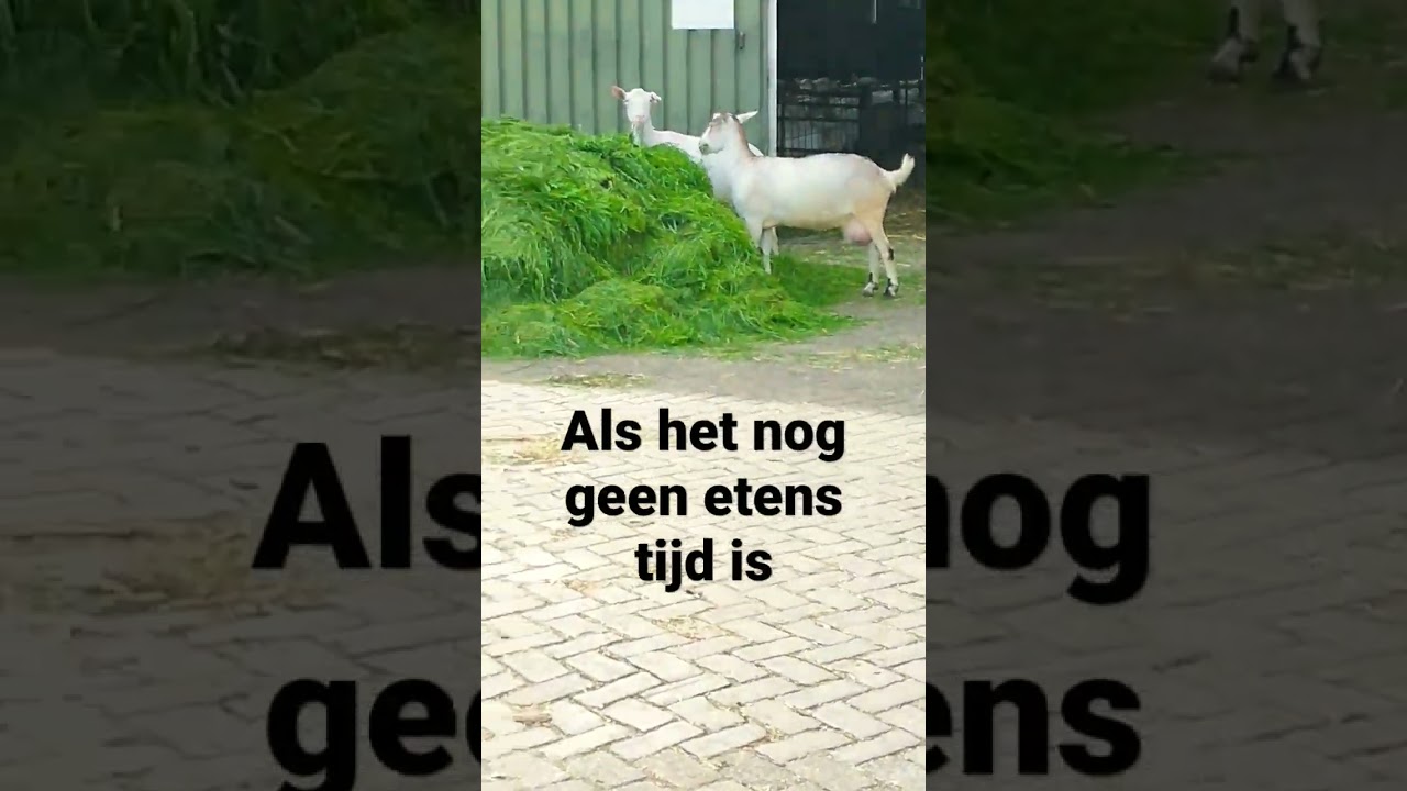 duurt te lang