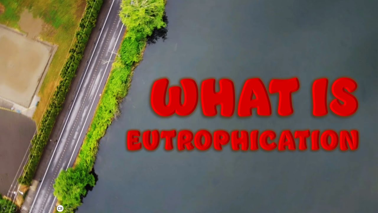 What Is Eutrophication?