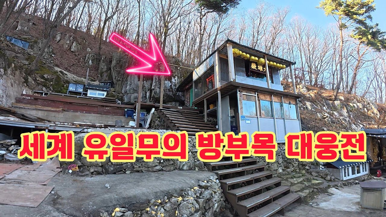 험준하기로 소문난 계룡산에서 난생 처음본 희귀한 방부목 대웅전
