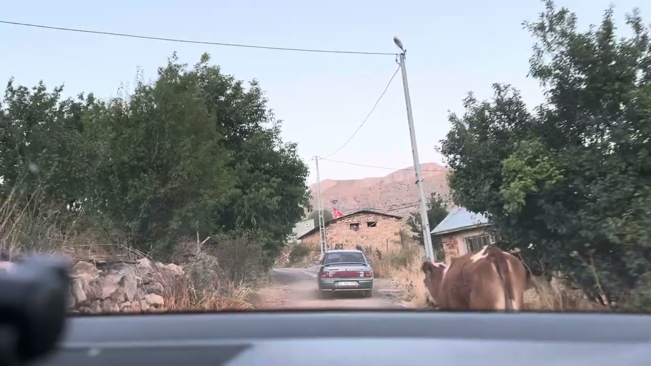 G&ouml;d&uuml;l K&ouml;y&uuml;/Kelkit/G&uuml;m&uuml;şhane