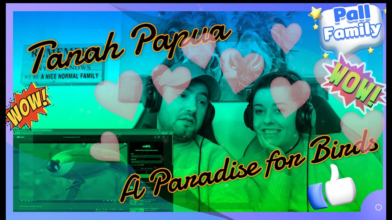 🇮🇩 Tanah Papua: A Paradise for Birds 🇮🇩  Pall Family Reaction !!! It`s a 