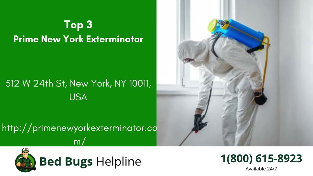 Top 3 Bed Bug Removal Companies in Port Washington