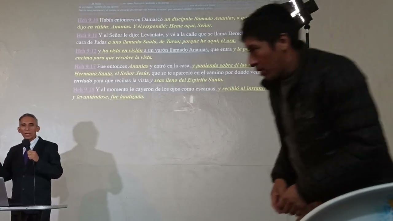4a. Organización 