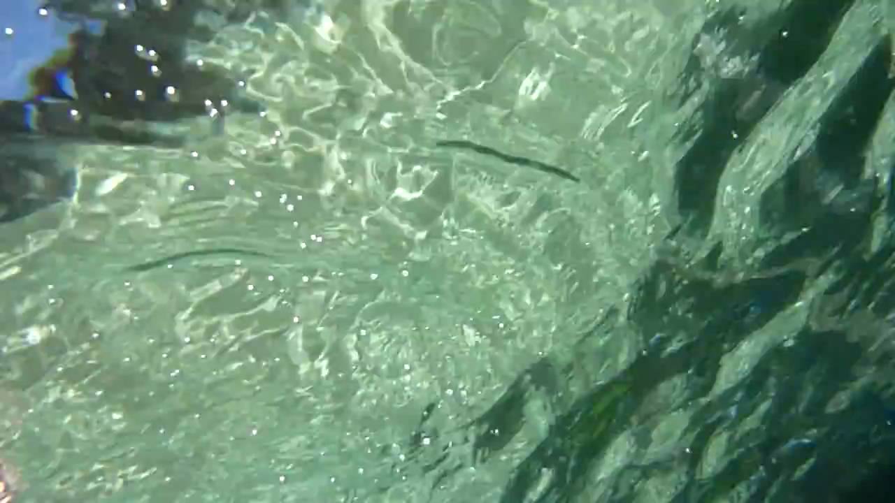underwater movie waterproof camera panasonic lumix DMC-FT1 pływanie z płaszczkami