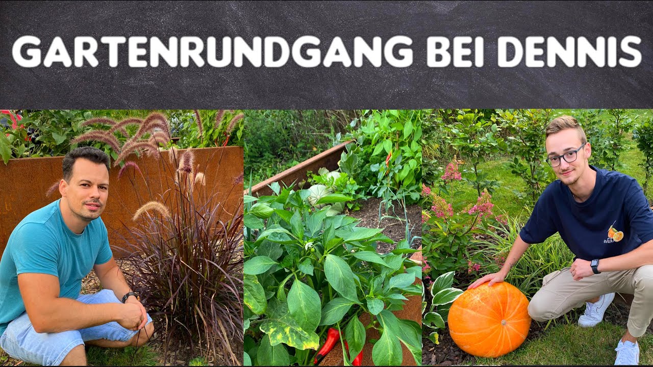 Hochbeet, Gemüsegarten, Stauden und Moorbeet. Zu Besuch bei @zurückzumgarten 🌱