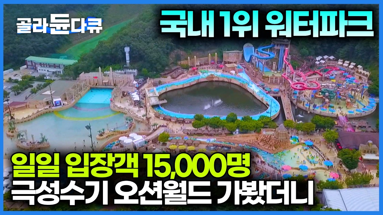 여름 시작되자 사람 몰리기 시작했다. 국내 1위 워터파크라고 불리는 오션월드 찾아가봤더니｜워터파크 안전요원이 극한직업인 이유｜극한직업｜#골라듄다큐