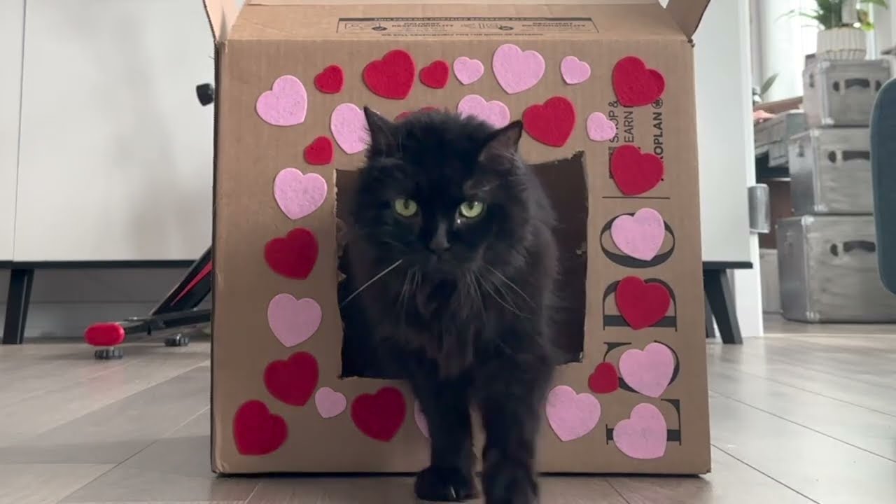 Happrrbbtt Valentine's Day!