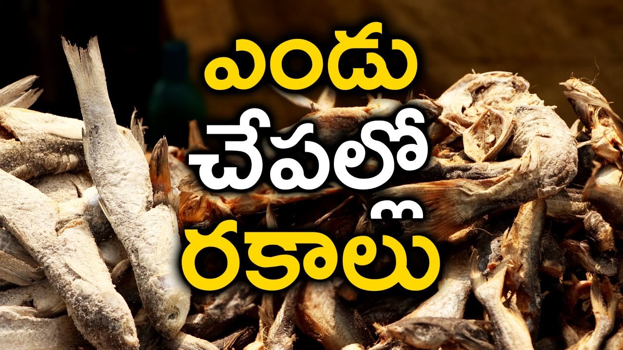 ఎండు చేపల్లో రకాలు ||Different Types Of Dry Fishes