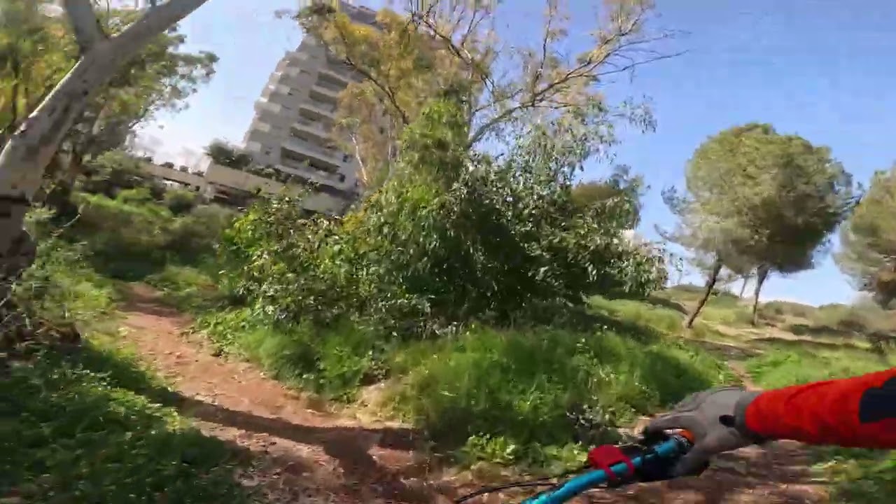 MTB Single Track - Kohav Yair