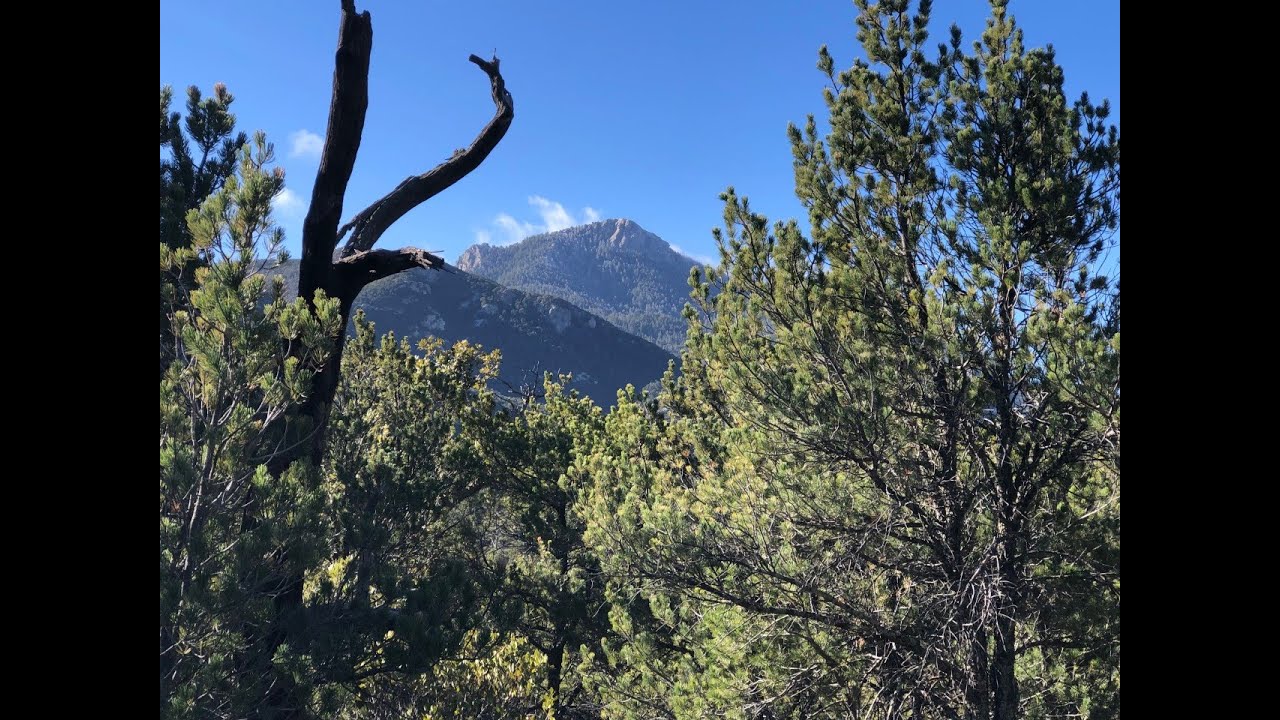 Rincon Peak Hike Tucson Arizona (3/6/22)